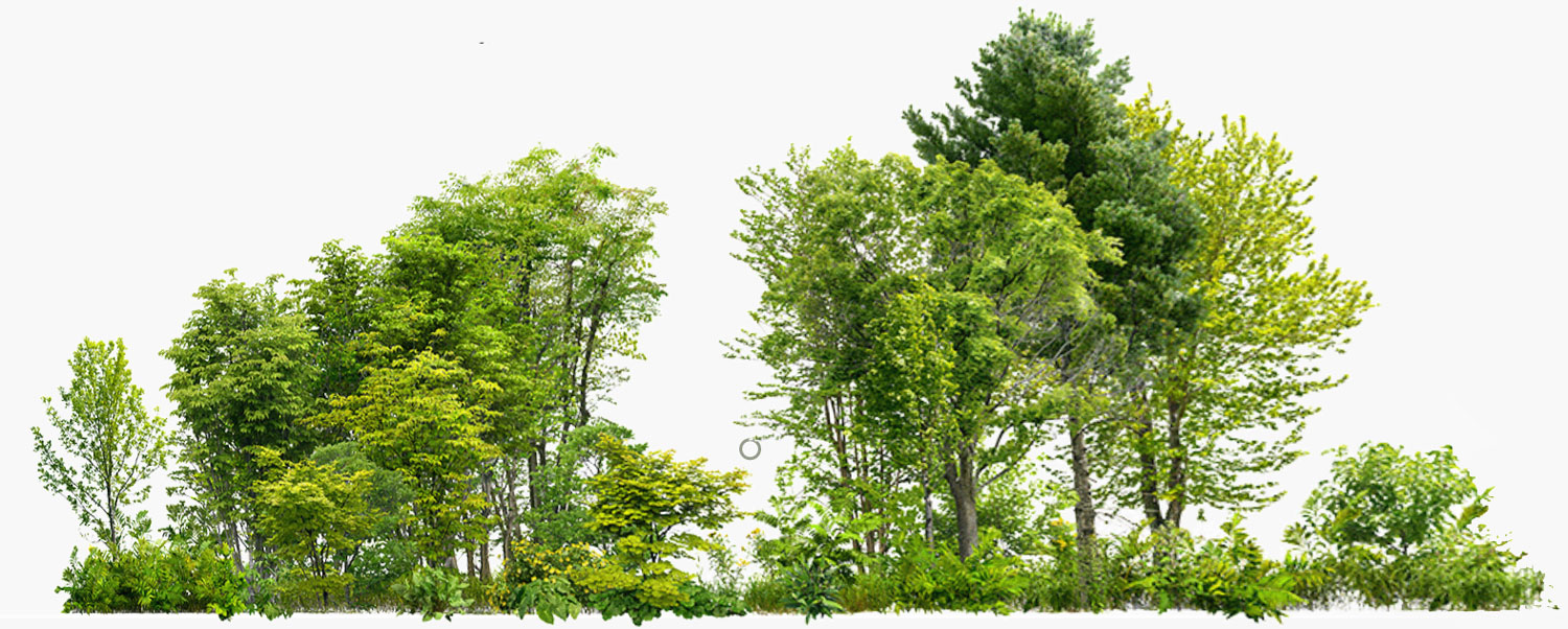 il tuo prossimo pavimento è greenway